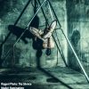 portable dungeon suspension bondage rig & sex swing